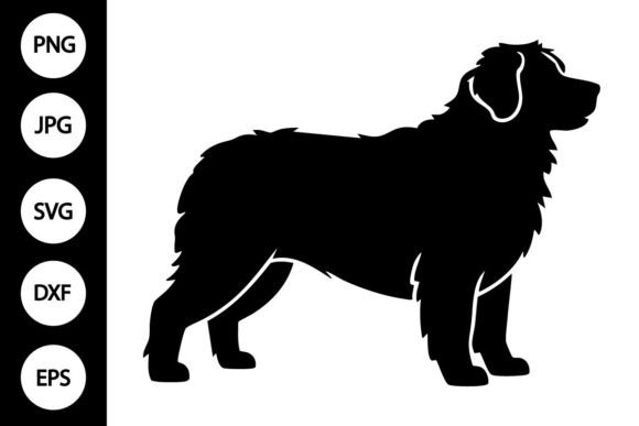 Bernese Mountain Dog SVG Review