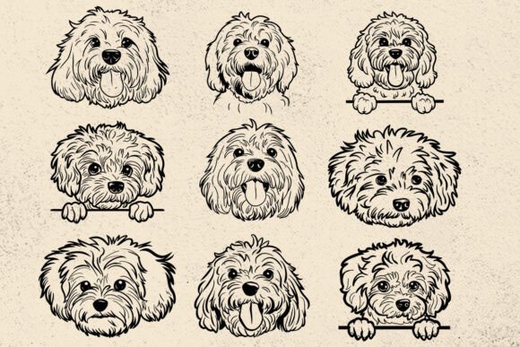 Cavachon, Dog Svg File Cricut
