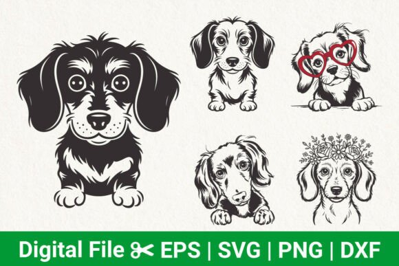 Cute Dachshund Dog Svg, Puppy Clipart