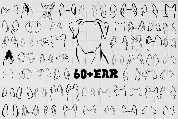 Dog Svg Bundle,60 Dog Ears Drawing Svg